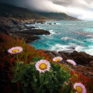 Meet your Posher, Doina